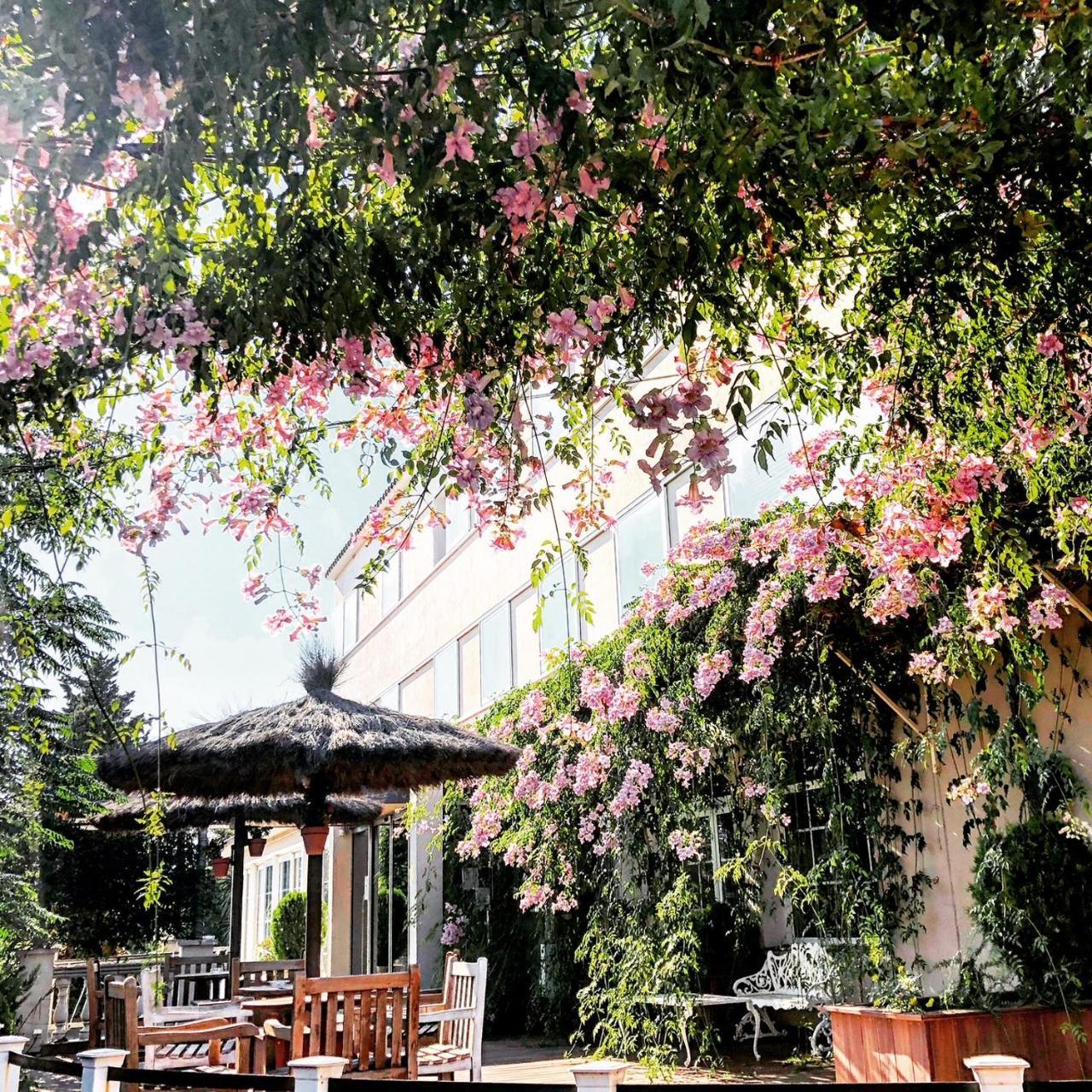 Hotel & Restaurant Figueres Parc Los Hostalets de Llers Dış mekan fotoğraf